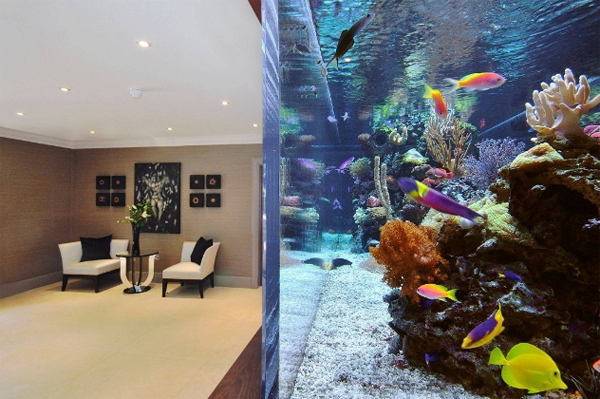 footballers-pad-aquarium-interior-by-aquarium-architecture