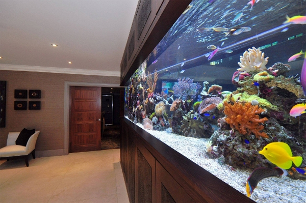 footballers-pad-bespoke-aquarium-interior-by-aquarium-architecture