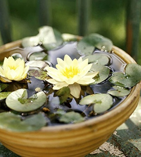 cute-mini-pond-ideas