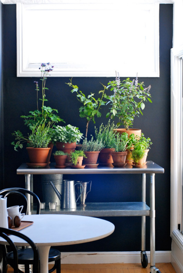 20 Indoor Herb Garden Ideas | Home Design And Interior