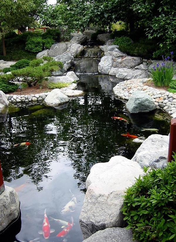 garden-pond-waterfall-designs
