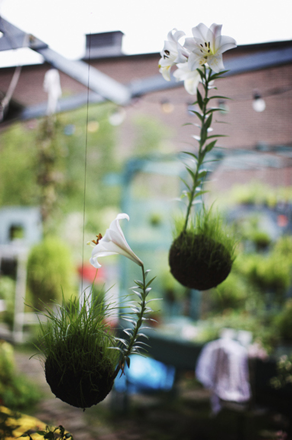 20 Beautiful Kokedama String Garden Ideas | Home Design And Interior