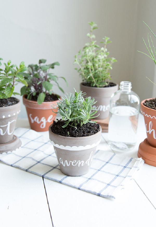 10 Cheap DIY Indoor Herb Containers