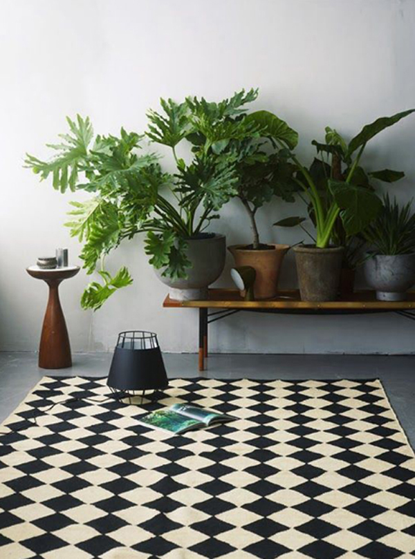 20 Modern Indoor Garden With Scandinavian Style