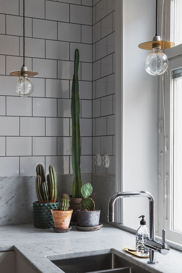 20 Simple Cactus Ideas For Beautify Your Room