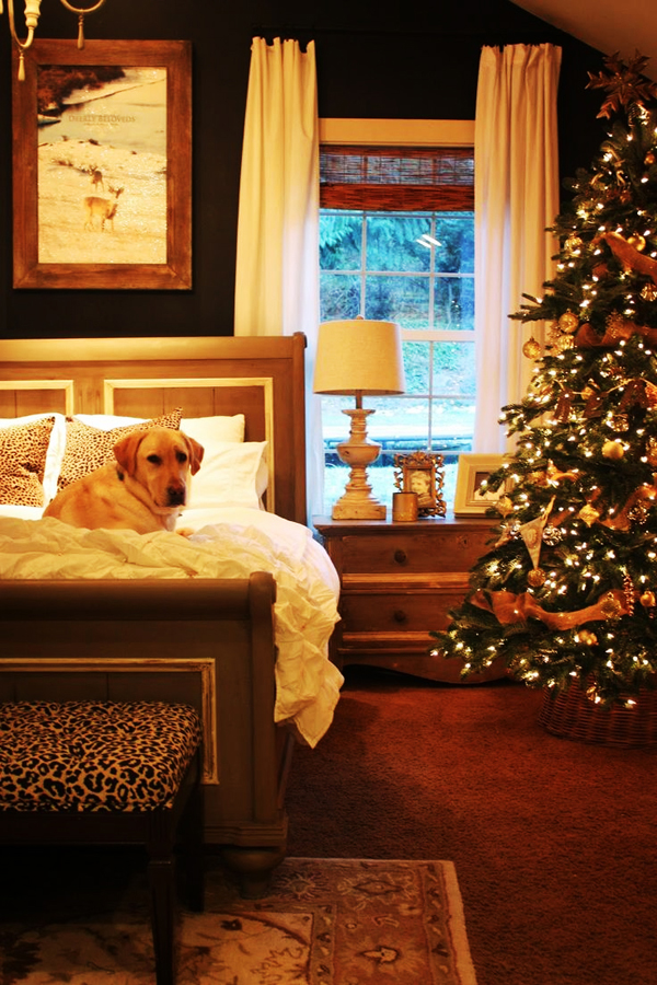 christmas cozy decor winter homes bedroom interior tree holiday snuggle want living