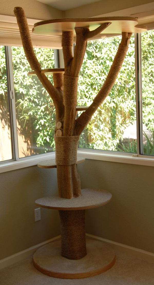 25 Indoor Cat Tree Ideas For Play And Relax