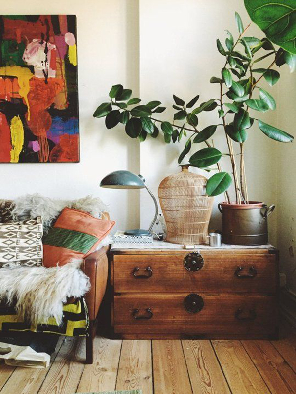 20 Romantic And Natural Indoor Plants For Improve Your Mood