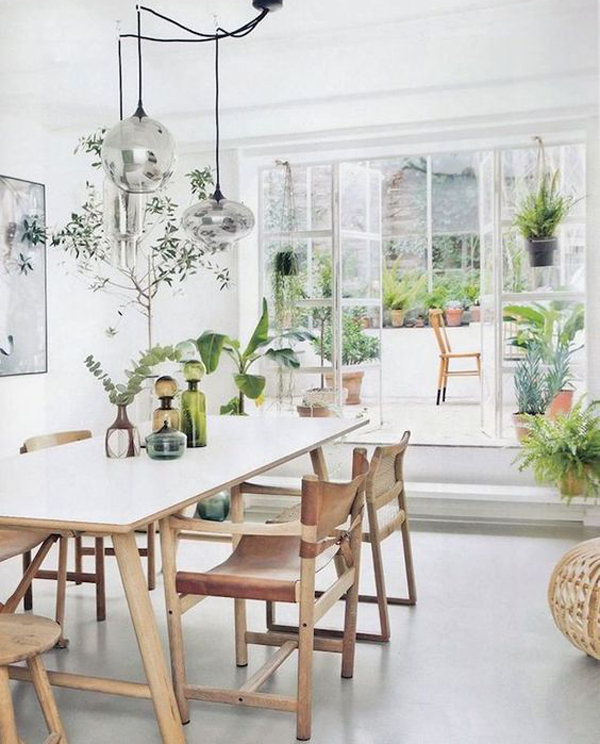 20 Romantic And Natural Indoor Plants For Improve Your Mood