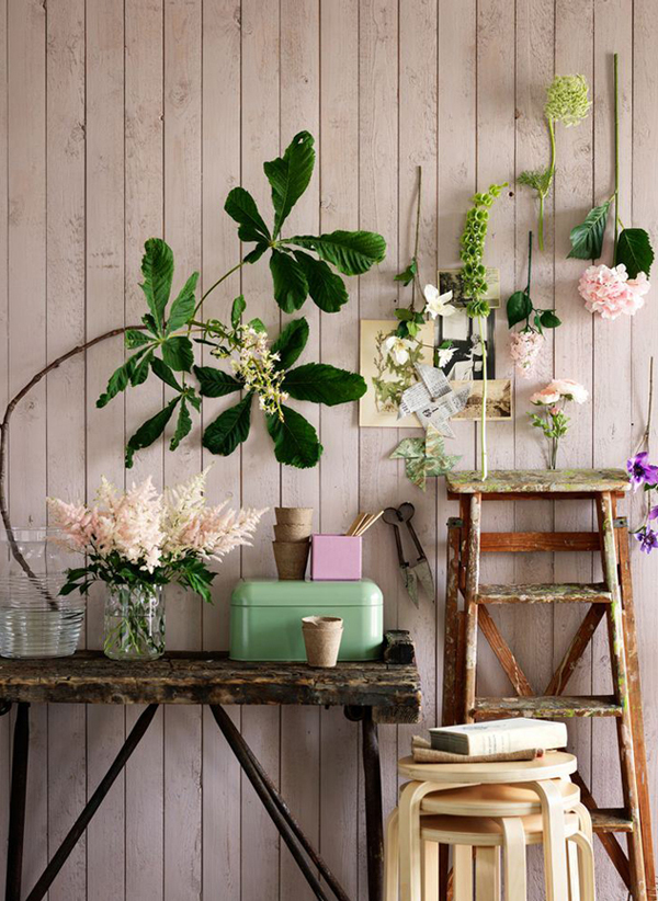 20 Romantic And Natural Indoor Plants For Improve Your Mood