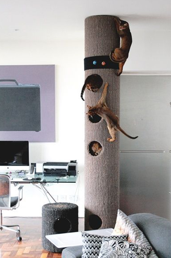 Cat Towers Best at John Russo blog