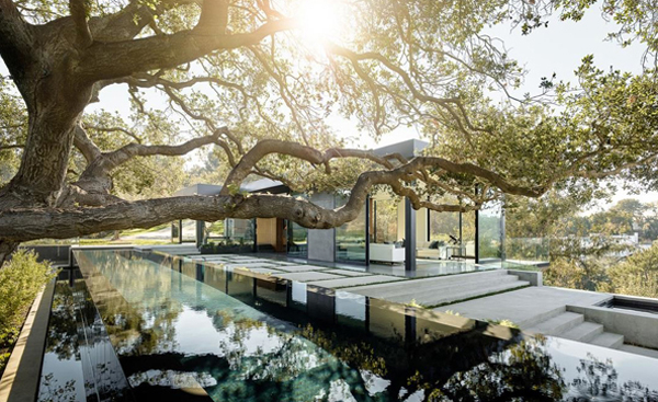 Oak Pass House With Coast Live Oaks In Beverly Hills