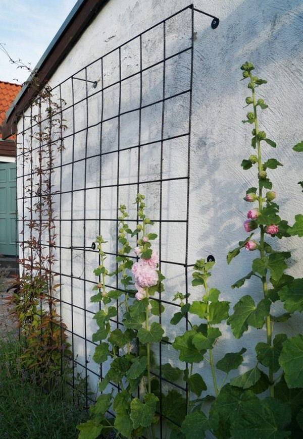 25 Beautiful DIY Trellis For Small Garden