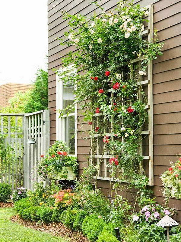25 Beautiful DIY Trellis For Small Garden