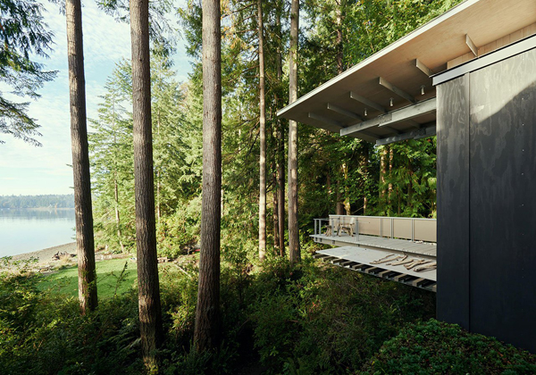 Cabin At Longbranch With Reverence To Nature