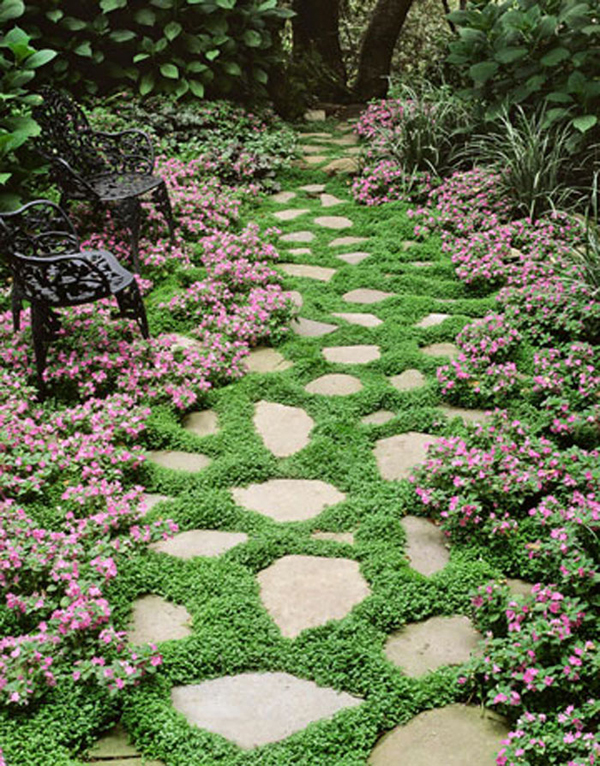15 Beautiful Plants And Ground Cover For Garden Pathways ...