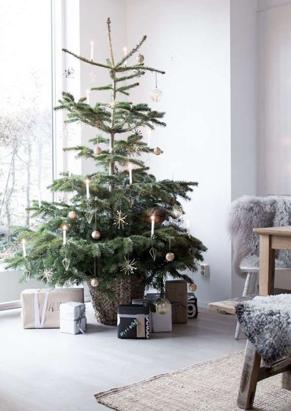 10 Cozy Winter Holidays With Christmas Trees