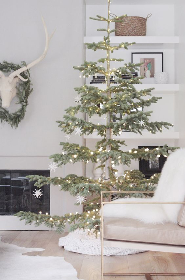 10 Cozy Winter Holidays With Christmas Trees