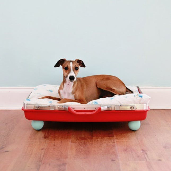 10 Brilliant IKEA Hacks For Your Pets Will Love