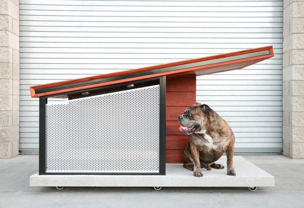 MDK9 Dog Haus With Modern Concept