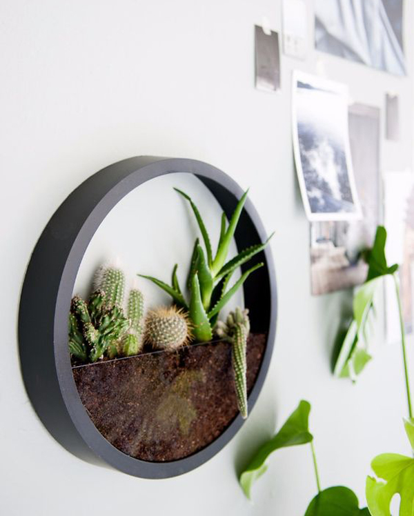 20 Gorgeous Succulent Wall Art To Display Houseplants