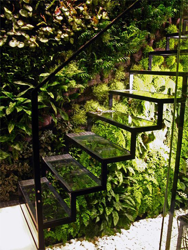 15 Beautiful Indoor Plants In Under The Stairs