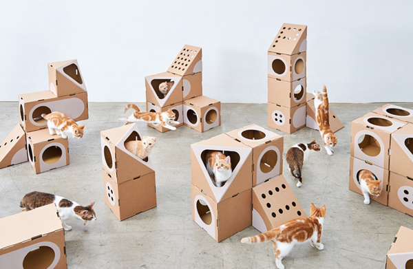 A Cat Thing Module Series With Cardboard System