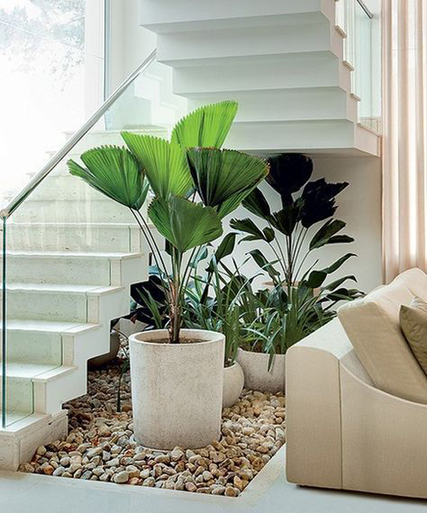 15 Beautiful Indoor Plants In Under The Stairs