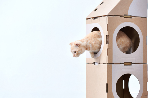 A Cat Thing Module Series With Cardboard System