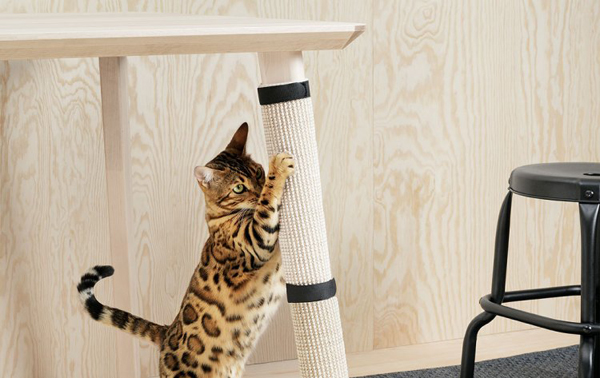 Stylish And Practical IKEA Lurvig Collection For Pet lover’s