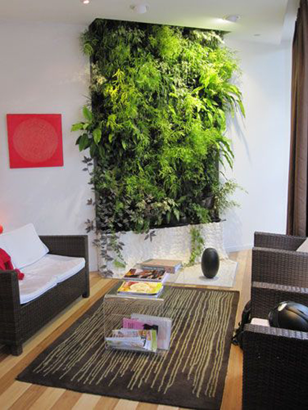 moss living interior walls decorations decor fresh natural might colorful