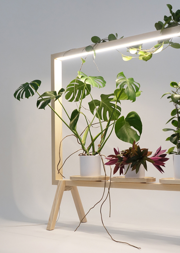 Illuminated Wooden Frame For Potted Plants