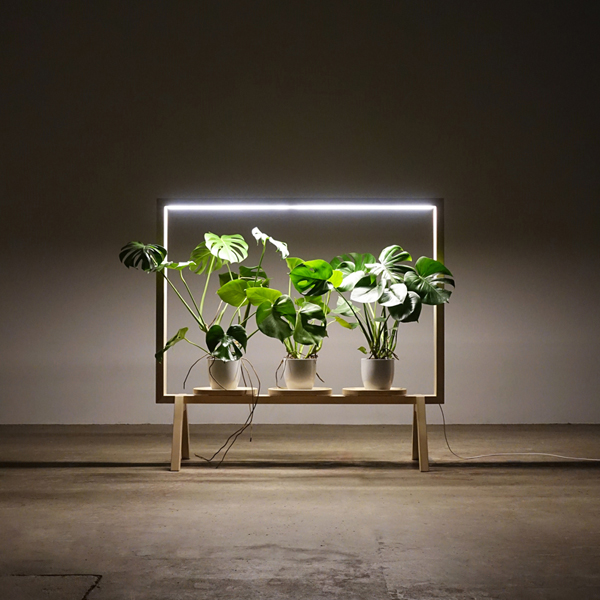 Illuminated Wooden Frame For Potted Plants