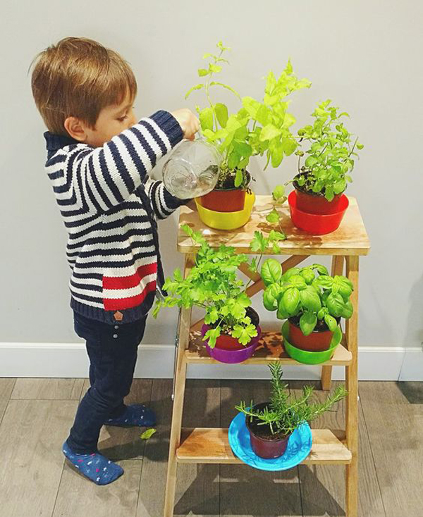 Augu audzēšana telpās kopā ar bērniem