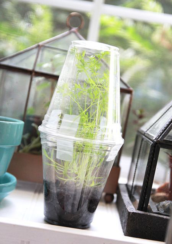 17 Fun And Easy Indoor Gardening For Kids | Home Design And Interior