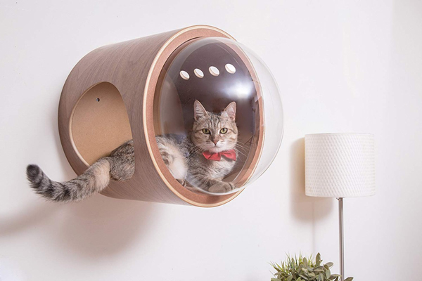 Modern Spaceship Pet Beds From MyZoo