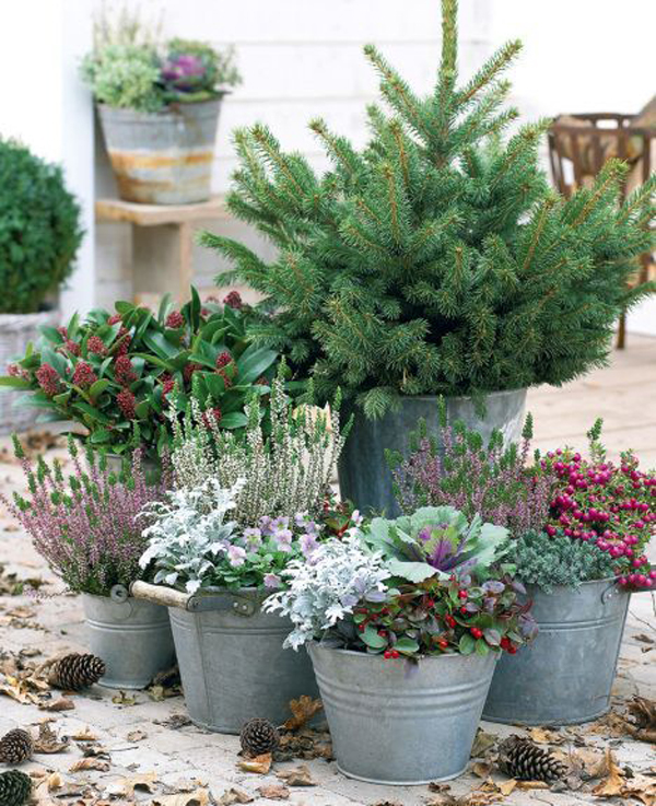 25 Most Awesome Outdoor Christmas Gardens