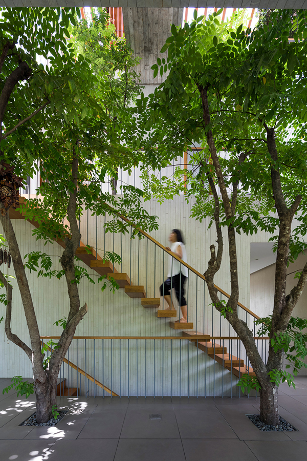 Stepping Park House With Green Space Concept