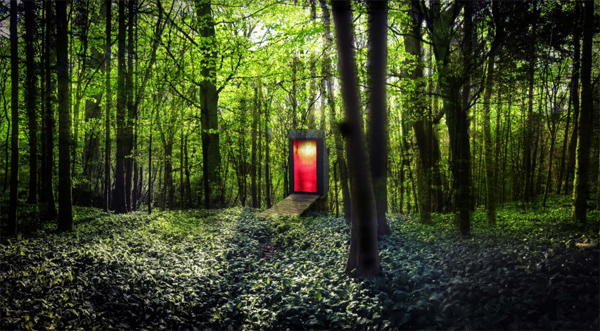 Longdrop: Eco-friendly Toilet In The Woods