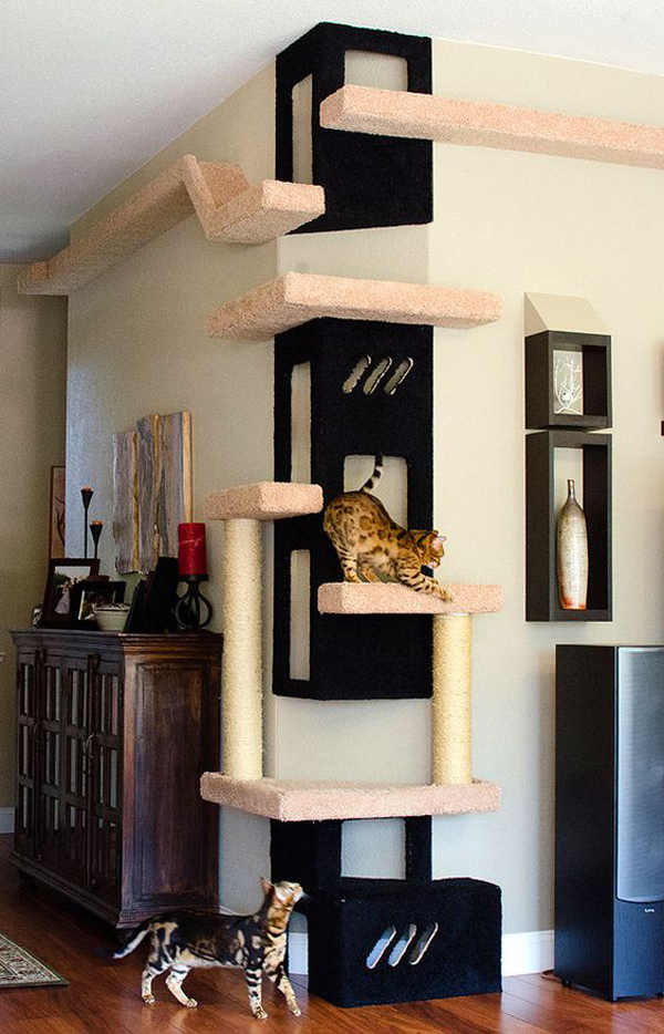 Cat Room Inspiration Sweet Surprise For Your Furry Friend HomeMydesign