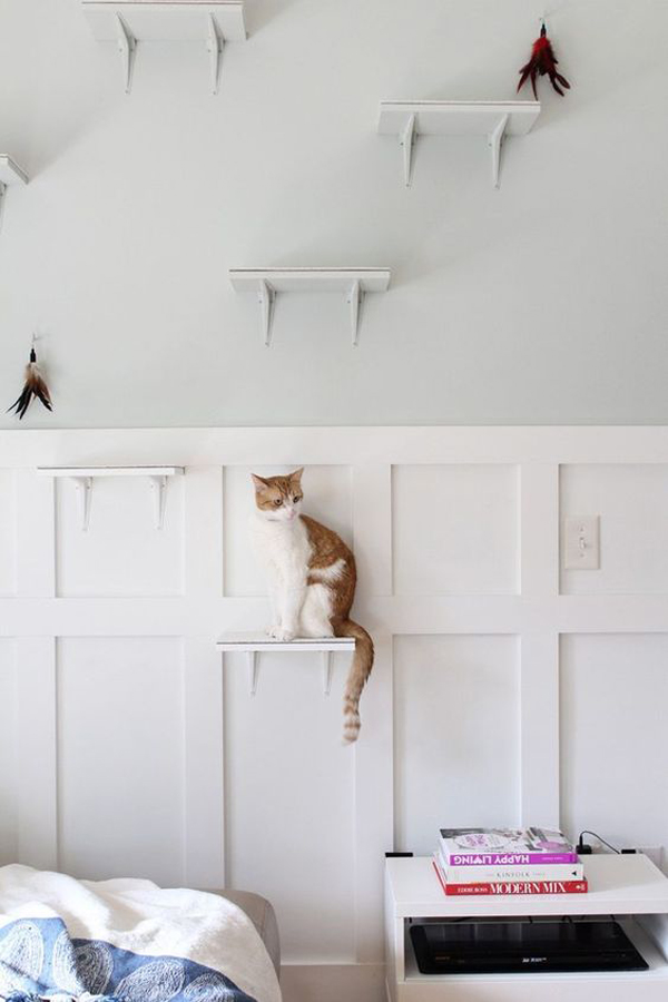 Cat Room Inspiration: Sweet Surprise For Your Furry Friend