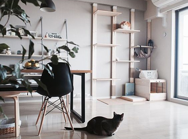 Cat Room Inspiration: Sweet Surprise For Your Furry Friend | HomeMydesign