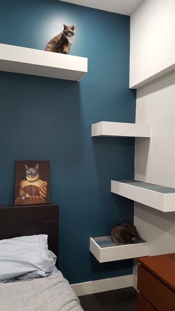 Cat Room Inspiration Sweet Surprise For Your Furry Friend HomeMydesign