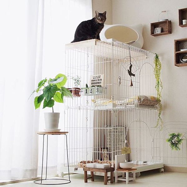 Cat Room Inspiration: Sweet Surprise For Your Furry Friend