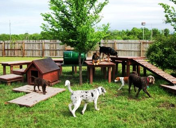 20 Creative DIY Dog Playground In The Backyard