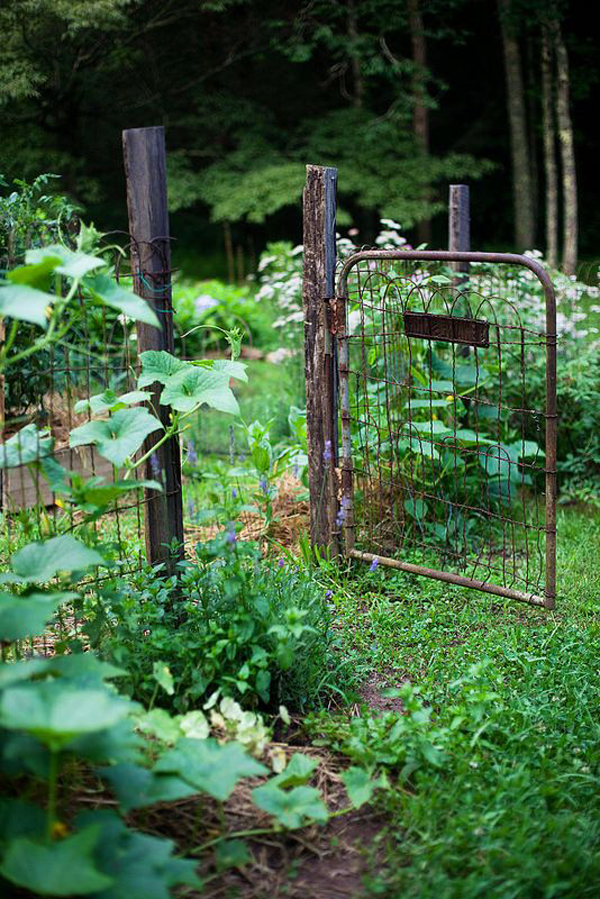 25 Rustic Fencing Ideas To Make Sure Your Garden Safe