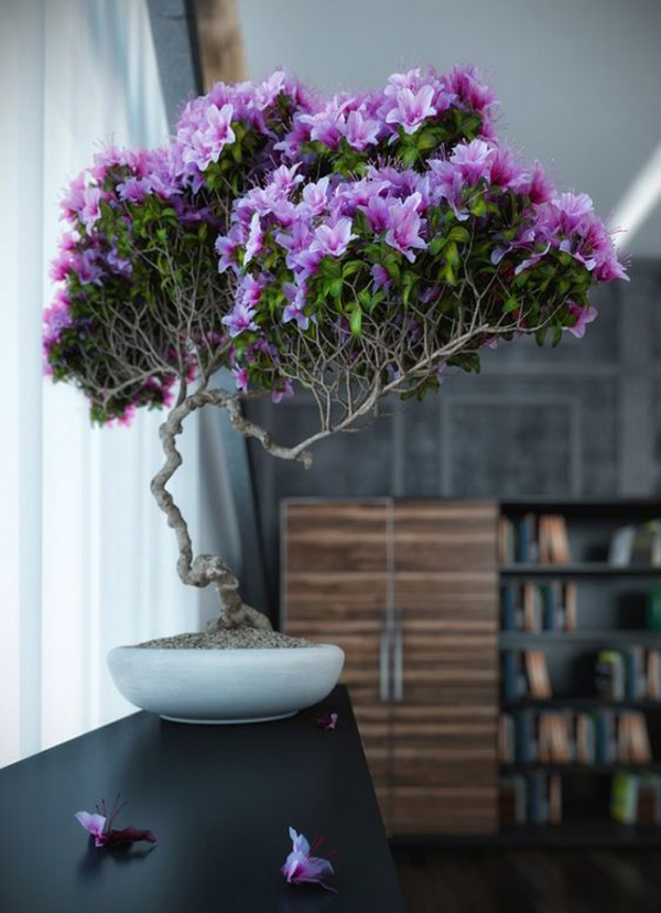 25 Modern Bonsai Garden Ideas For Your Interior