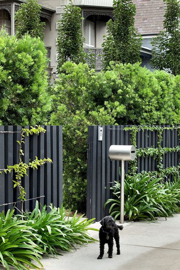 25 Unique Garden Fence Ideas With Plants To Your Privacy