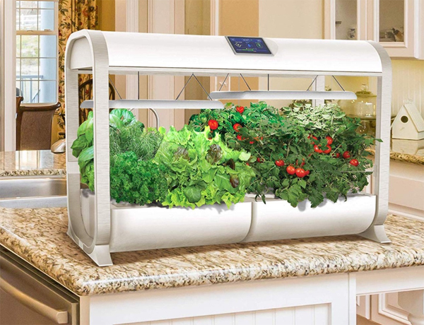 AeroGarden Farm Integrated With Wi-Fi And Smartphone