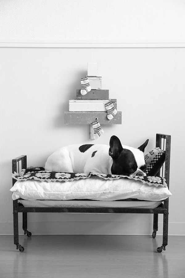 45 Cool And Modern DIY Dog Bed Ideas